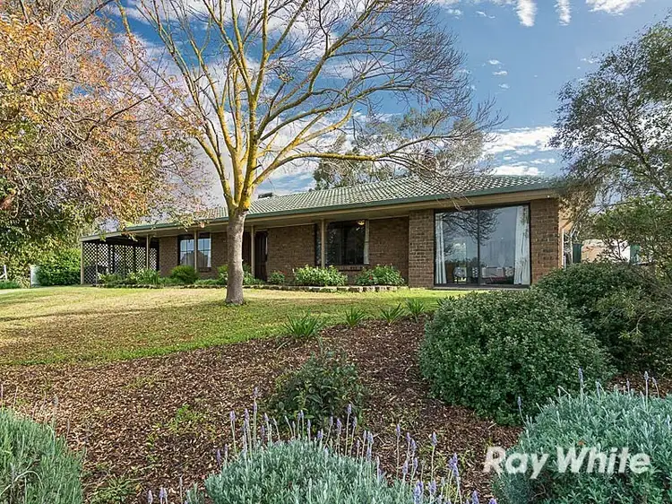 17 Wolf Avenue, Strathalbyn SA 5255