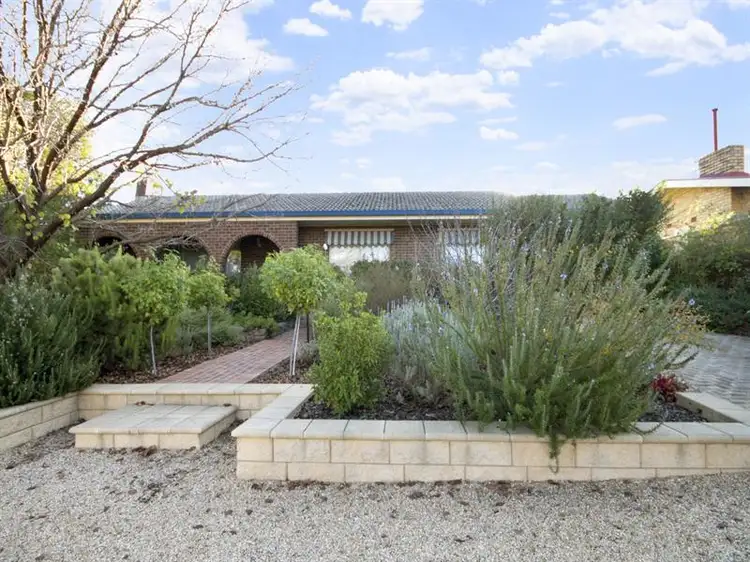 Main view of Homely house listing, 13 Elizabeth Avenue, Nuriootpa SA 5355