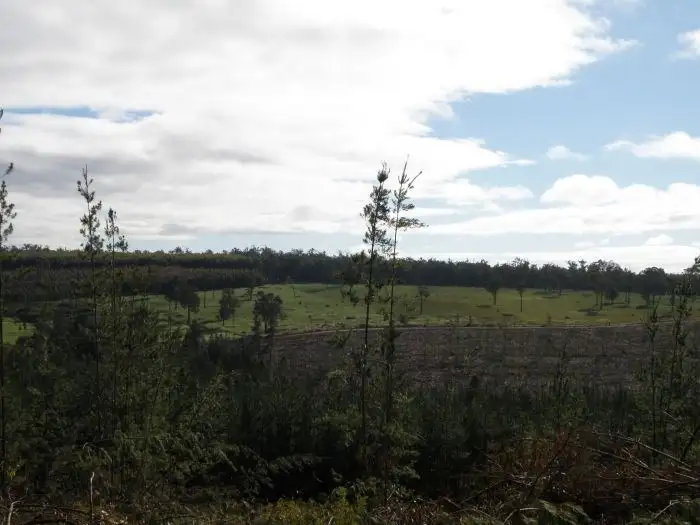 Fifth view of Homely rural property listing, Address available on request