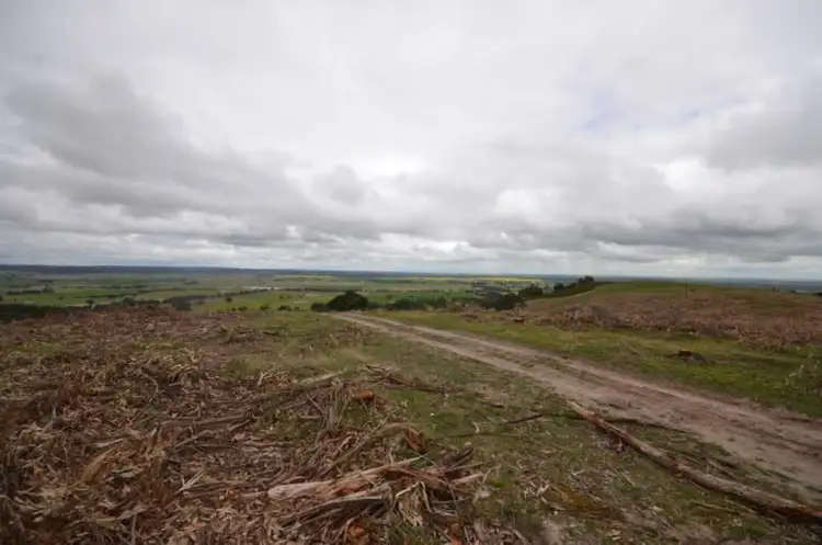 Fifth view of Homely rural property listing, 'Tiley' Tip Road, Raglan VIC 3373