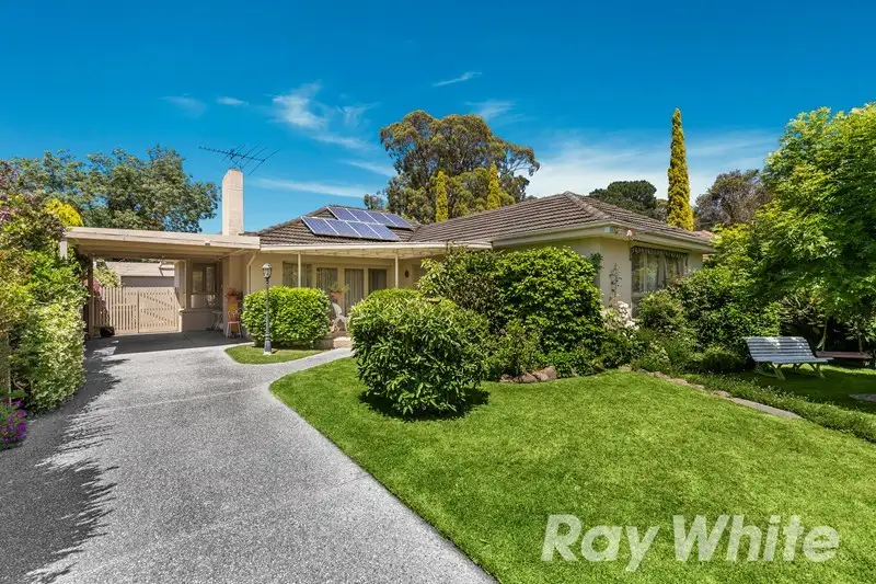 Main view of Homely house listing, 14 Holroyd Court, Blackburn South VIC 3130