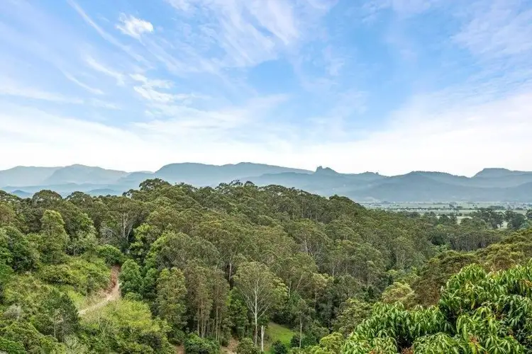 Second view of Homely land listing, 445 Clothiers Creek Road, Nunderi NSW 2484