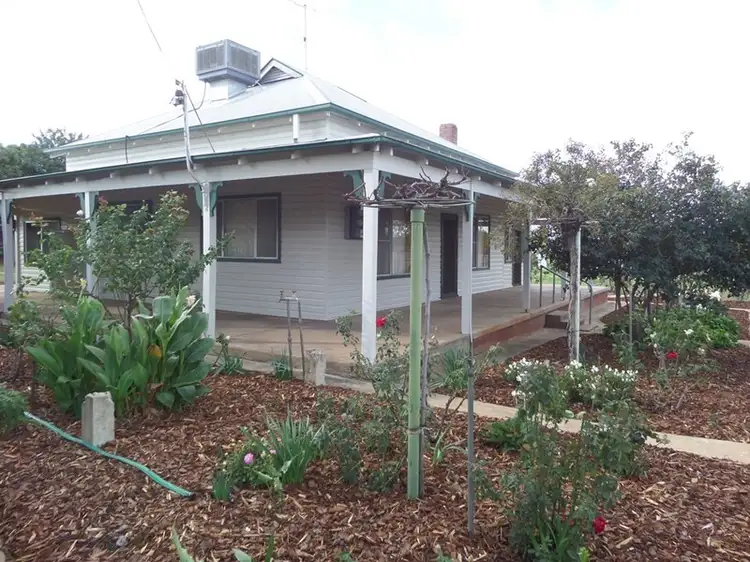 Third view of Homely house listing, 41 Ferrier Street, Narrandera NSW 2700