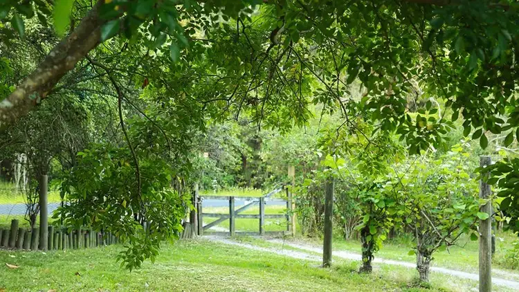 Second view of Homely house listing, 10 Fishburns Road, Galston NSW 2159
