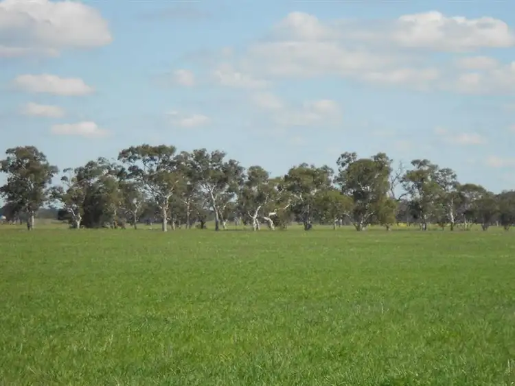 Second view of Homely rural property listing, 255 Wagenknecht Road, Bordertown SA 5268