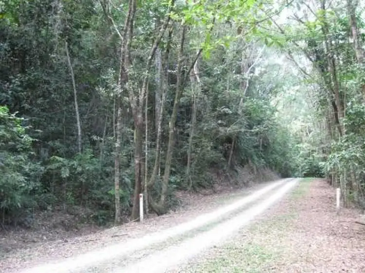 Fourth view of Homely land listing, Lot 17 Cape Tribulation Road, Daintree QLD 4873