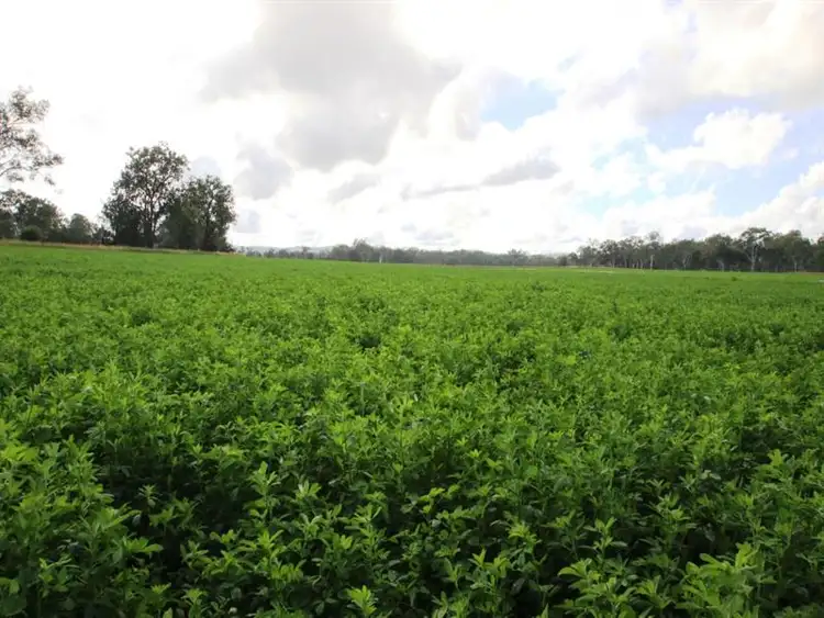 Main view of Homely rural property listing, Address available on request