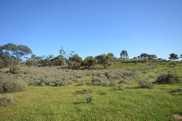 Seventh view of Homely rural property listing, "Rex's" Worlds End Highway via, Robertstown SA 5381