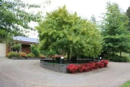 Third view of Homely rural property listing, 135 Latrobe River Road, Neerim South VIC 3831
