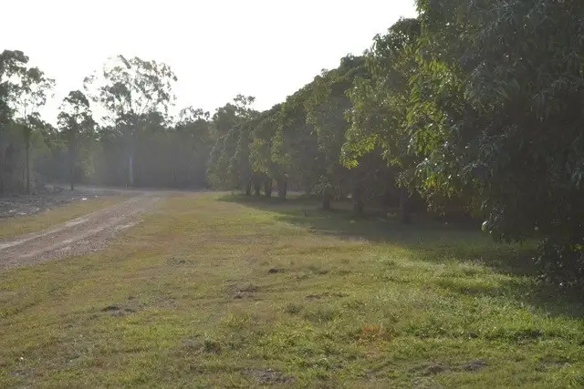 Fourth view of Homely land listing, Lot 31 Tanby Post Office Road, Bondoola QLD 4703