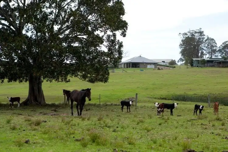 Sixth view of Homely rural property listing, 618 Half Chain Road, Koorainghat NSW 2430