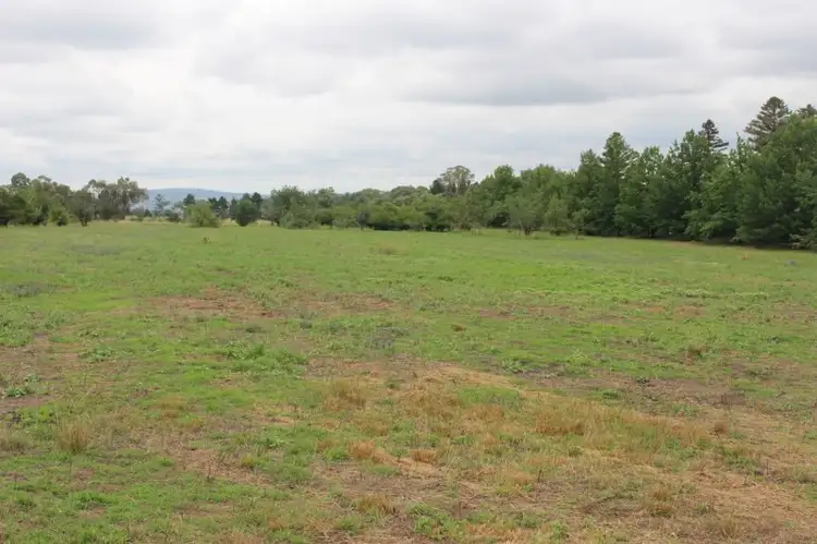 Main view of Homely land listing, 1825 Rockley Road, Bathurst NSW 2795