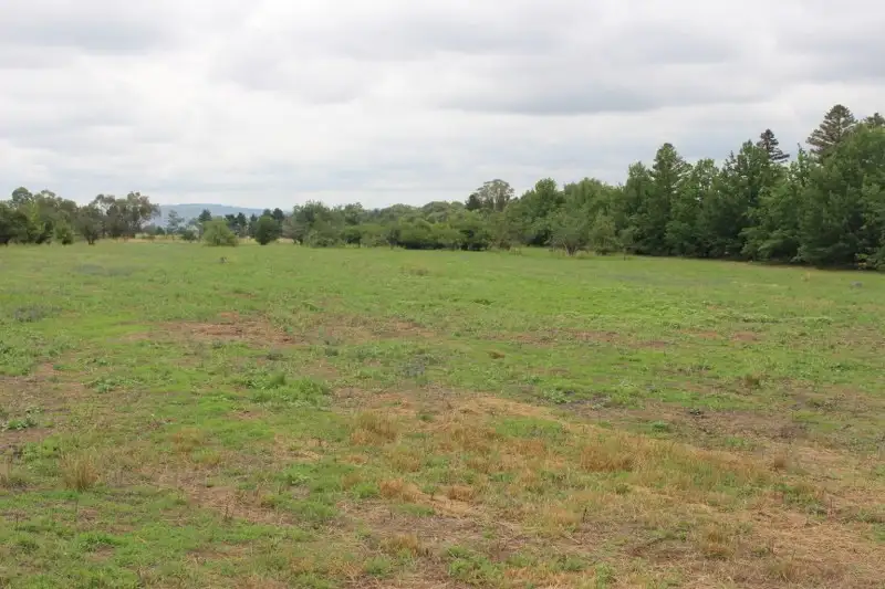 Main view of Homely land listing, 1825 Rockley Road, Bathurst NSW 2795