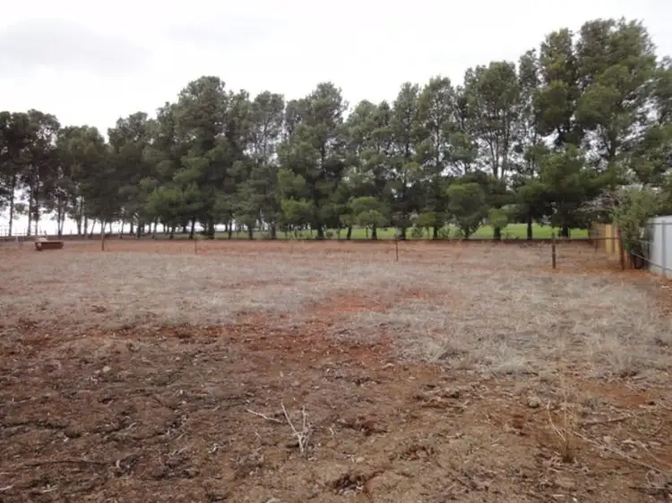 Main view of Homely land listing, Lots 7 and 8 Lincoln Avenue, Spalding SA 5454