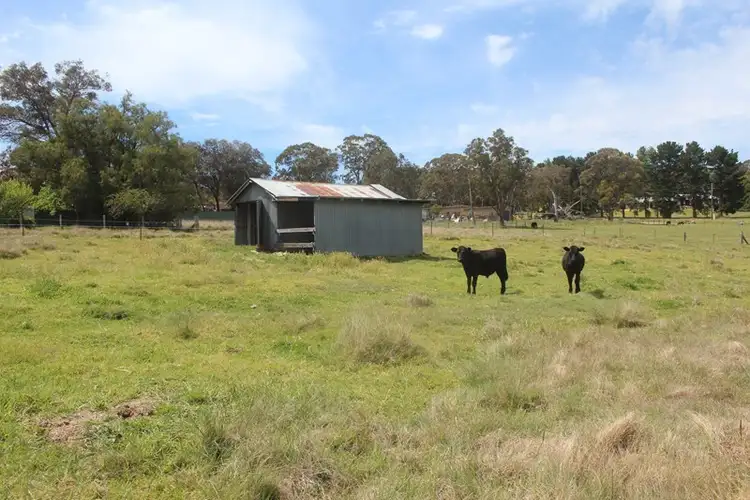 Seventh view of Homely house listing, 251 Douglas Street, Tenterfield NSW 2372