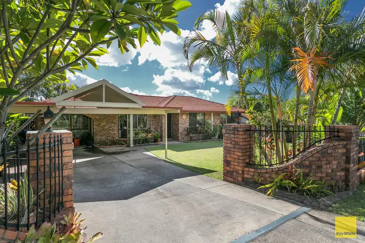 Main view of Homely house listing, 141 Vienna Road, Alexandra Hills QLD 4161