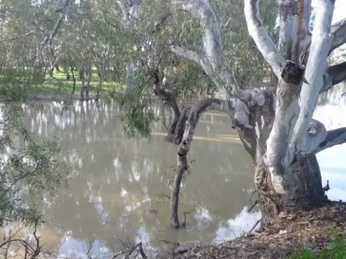 Third view of Homely land listing, Lot 30 Billabong Creek Drive, Conargo NSW 2710