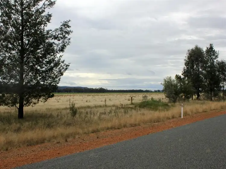 Third view of Homely rural property listing, 1141 Morangarell Road, Temora NSW 2666