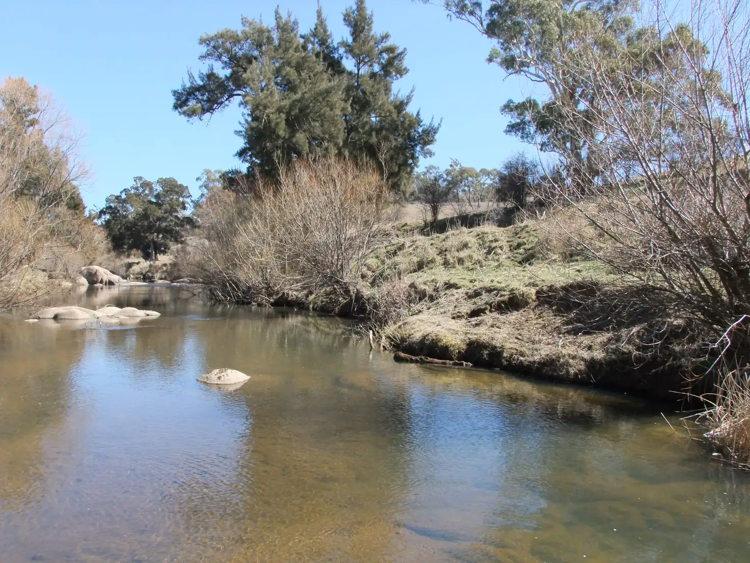 Main view of Homely rural property listing, Address available on request