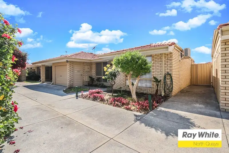 Main view of Homely villa listing, 14/199 Albert Street, Osborne Park WA 6017
