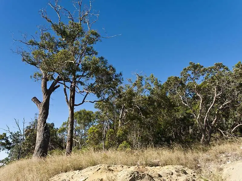 Main view of Homely land listing, 9 Aldham Court, Wellard WA 6170
