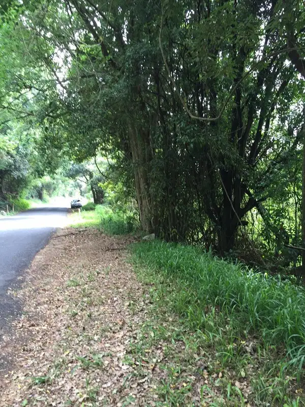 Fourth view of Homely rural property listing, Lot 2 Goonengerry Road, Goonengerry NSW 2482