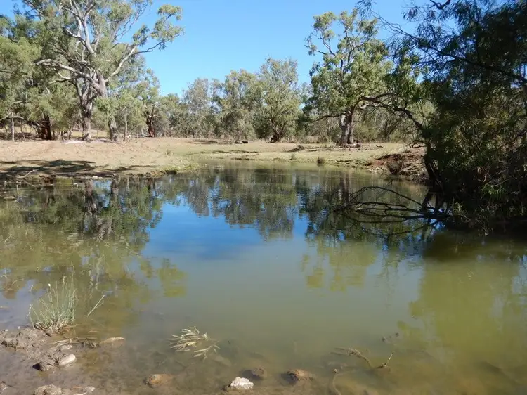 Third view of Homely rural property listing, " Gunna Gumpy ", Bingara NSW 2404