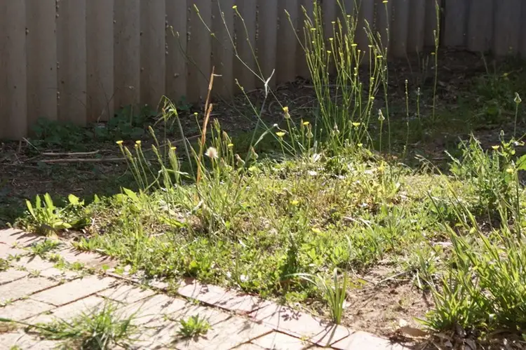 Seventh view of Homely house listing, 17 Hepburn Street, Dongara WA 6525
