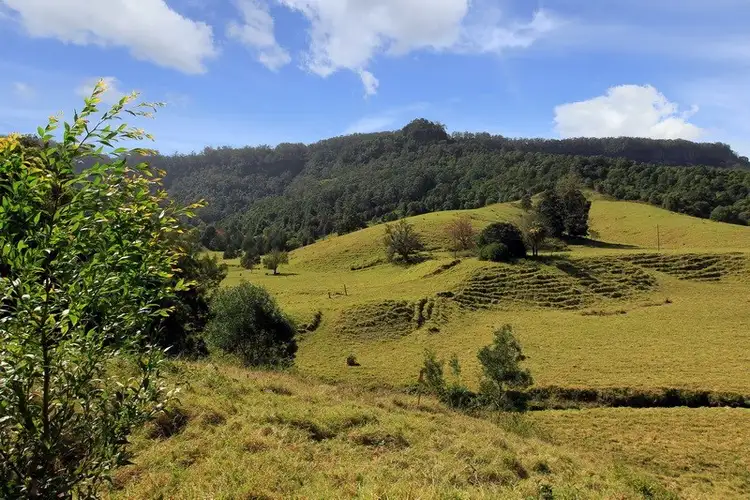 Third view of Homely rural property listing, Lot 104 Browns Mountain Road, Cambewarra NSW 2540