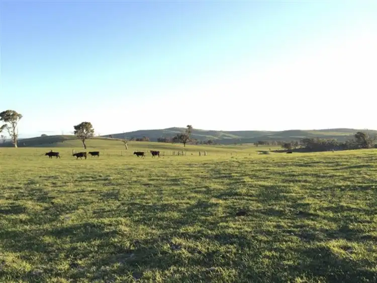 Second view of Homely rural property listing, 413 Kings Plains Road, Blayney NSW 2799