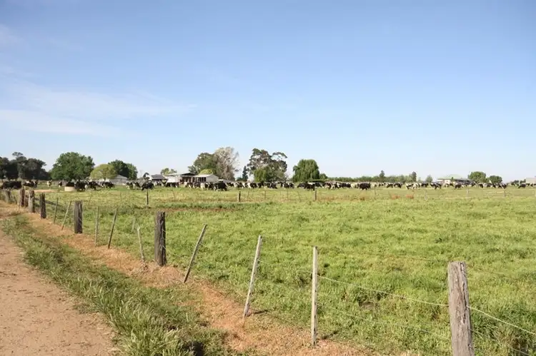 Fourth view of Homely rural property listing, 852 Singer Road, Bamawm VIC 3561