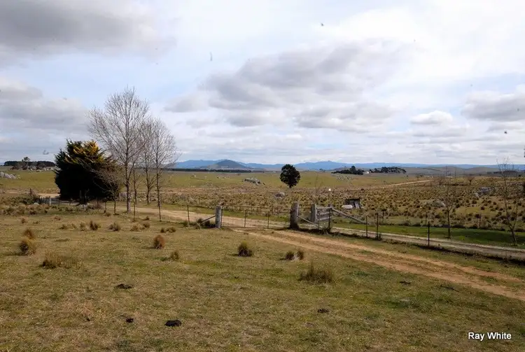 Main view of Homely rural property listing, 65 Torpys Lane, Braidwood NSW 2622