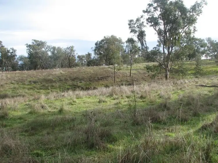 Seventh view of Homely rural property listing, 171E Cultowa Lane, Canowindra NSW 2804