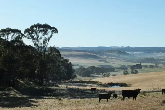 Sixth view of Homely rural property listing, 1881 Edith Road, Oberon NSW 2787