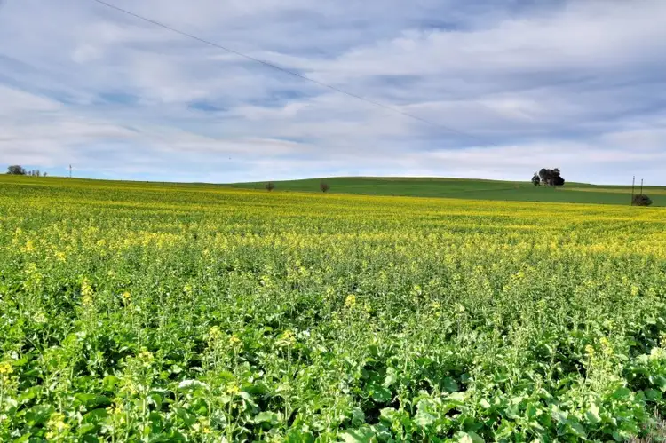 Seventh view of Homely rural property listing, "Allens" 304 Calcannia Road, Clare SA 5453