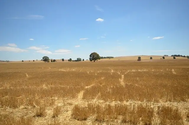 Main view of Homely rural property listing, "Bills" Farrell Flat Road, Farrell Flat SA 5416