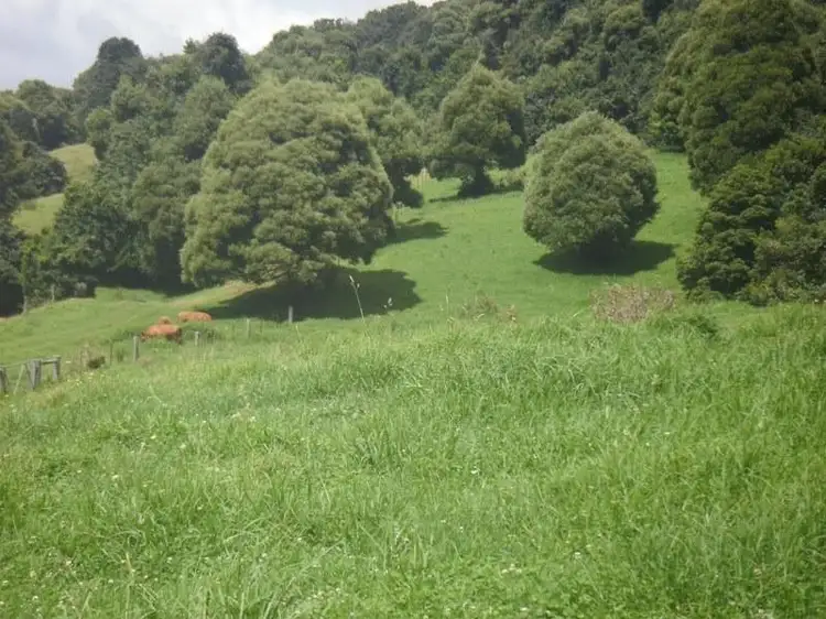 Fourth view of Homely rural property listing, Lot 11 Bells Hill Road, Robertson NSW 2577