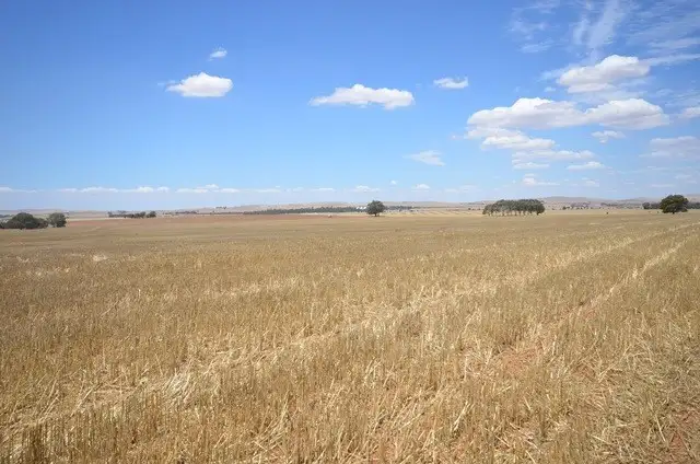 Fourth view of Homely rural property listing, "Bills" Farrell Flat Road, Farrell Flat SA 5416