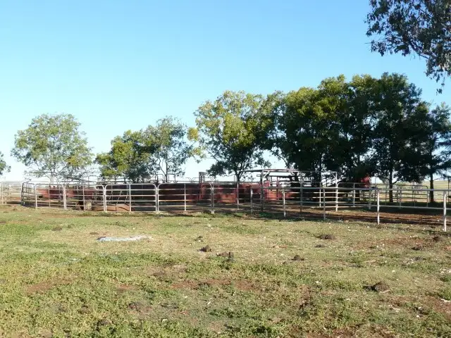 Seventh view of Homely rural property listing, " Colomie", Wallangra NSW 2360
