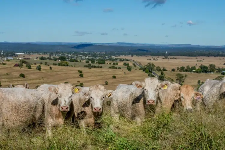 Second view of Homely rural property listing, "Spring Creek" 281 Boat Mountain Road, Murgon QLD 4605