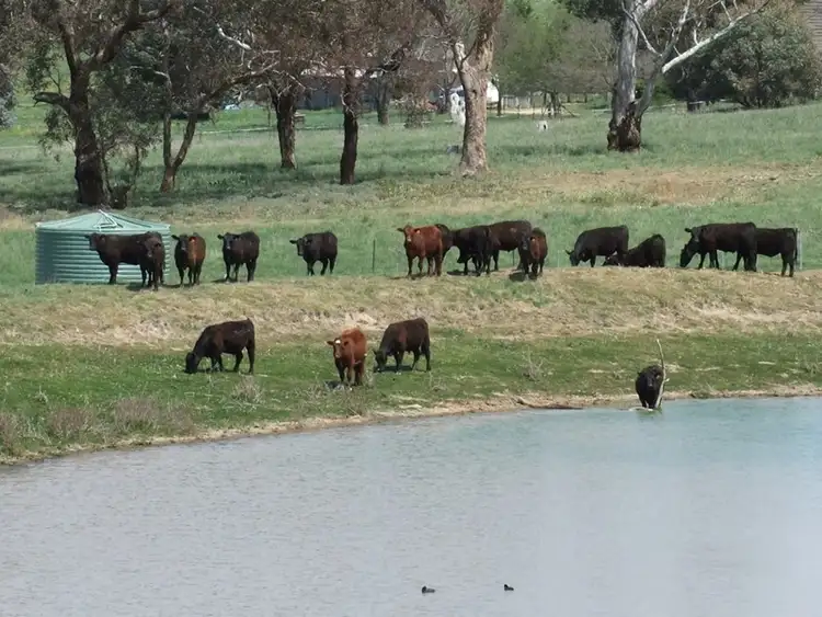 Sixth view of Homely rural property listing, Address available on request