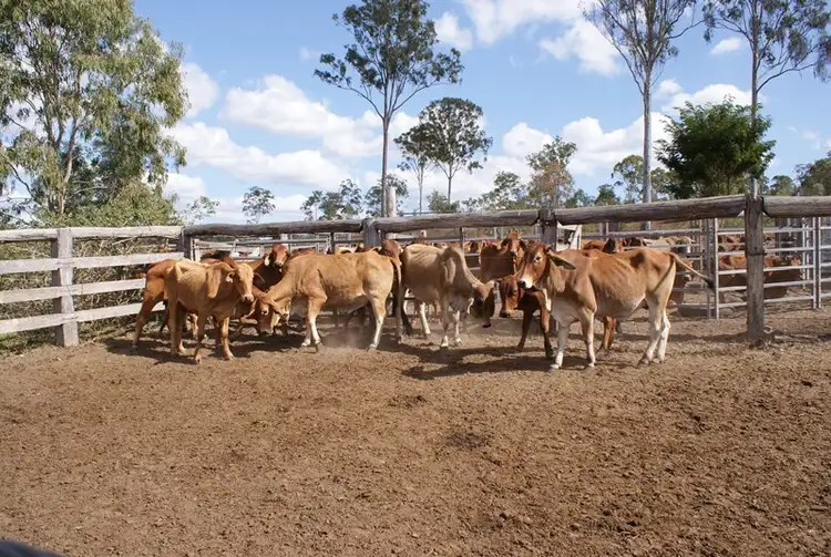 Fifth view of Homely rural property listing, 0 Rows Road, Gindoran QLD 4676