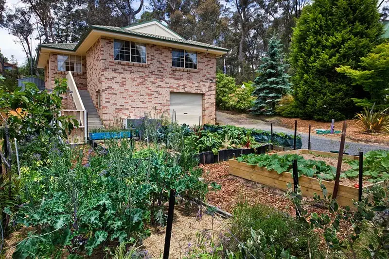 Main view of Homely house listing, 25 Radiance Avenue, Blackheath NSW 2785