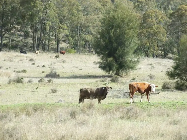 Fourth view of Homely rural property listing, L191 Schmaling Road, Groomsville QLD 4352