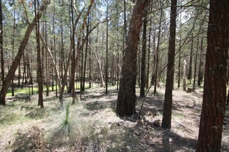 Fifth view of Homely land listing, Lot 12 Warrumba Road, Bumbaldry NSW 2794