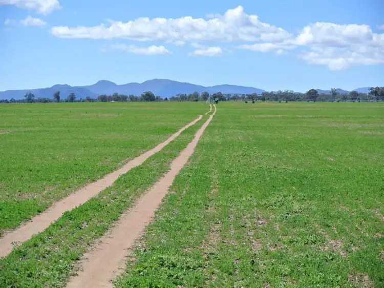 Second view of Homely rural property listing, "Mayfield" Narrabri, Narrabri NSW 2390