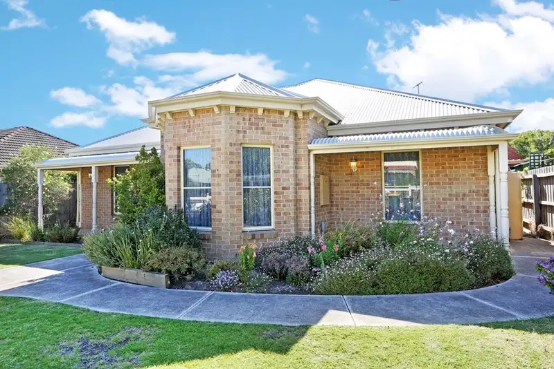 Main view of Homely house listing, 31 Kardinia Street, Belmont VIC 3216
