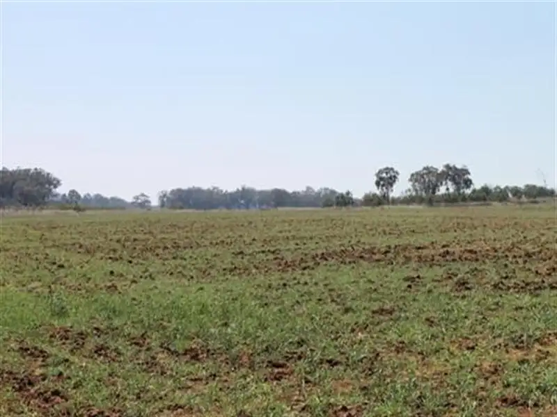 Main view of Homely rural property listing, 'Montana' Mount Russell Road, Inverell NSW 2360