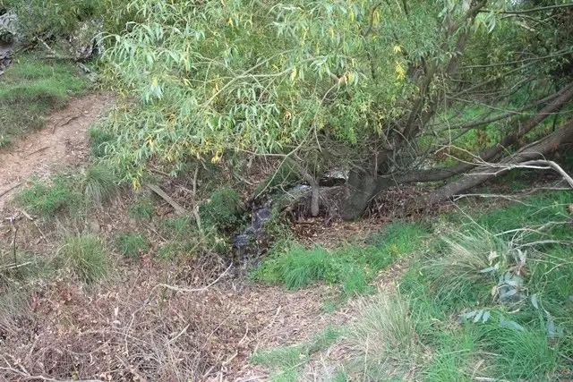 Seventh view of Homely rural property listing, Lot 2 519 Nunans Hill Road, Oberon NSW 2787
