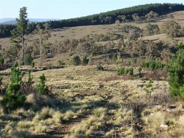Main view of Homely rural property listing, 1327 Swallows Nest Road, Oberon NSW 2787